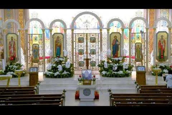 Служба Божа. Divine Liturgy. Св. сщмч. Януарія і тих, що з ним. Св. мч. Теодора, що в Пергії.